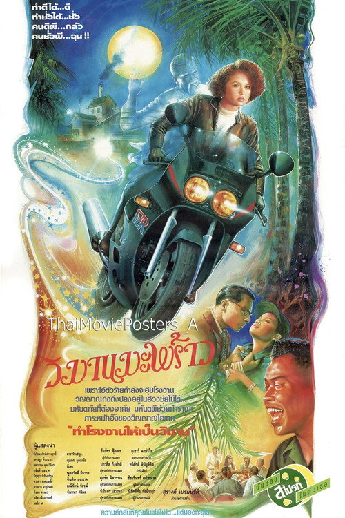 วิมานมะพร้าว poster