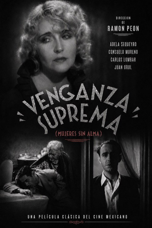 Venganza suprema poster