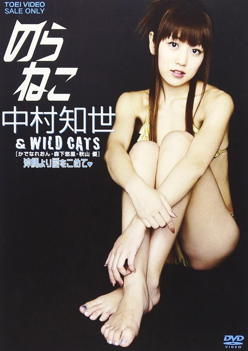 のらねこ 中村知世 & WILD CATS/かでなれおん・森下悠里・秋山優 沖縄より愛をこめて poster