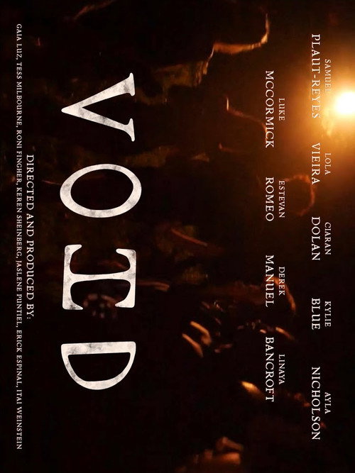 VOID poster