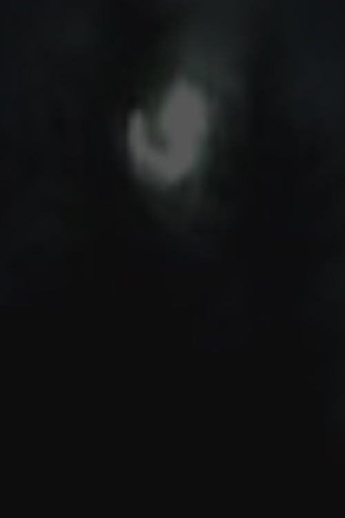 Moonlight poster