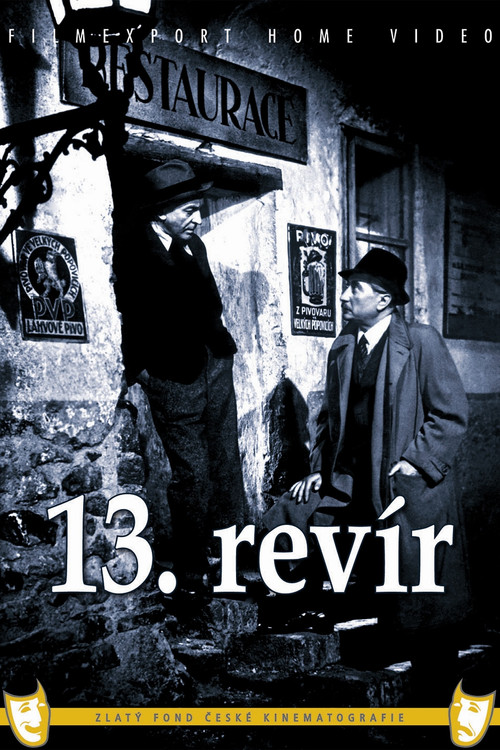 13th district poster