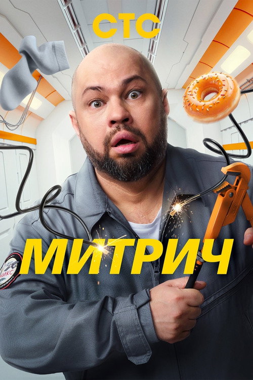 Митрич poster