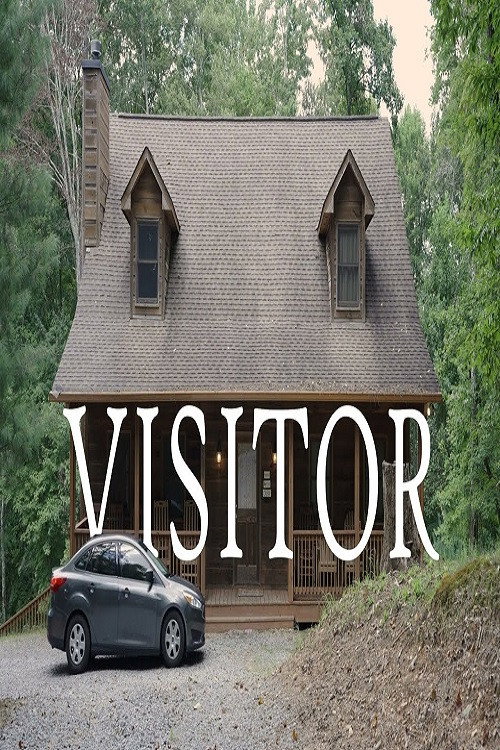Visitor poster