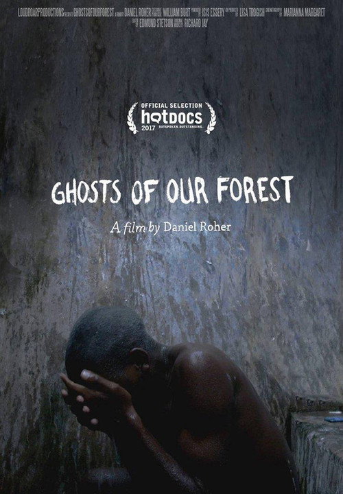 Ghosts of Our Forest poster