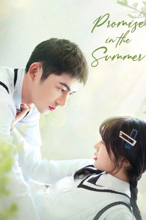 Promise in the Summer poster