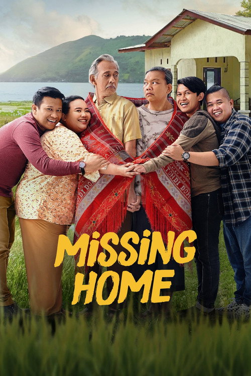 Missing Home poster