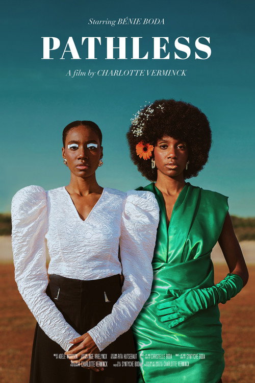Pathless poster