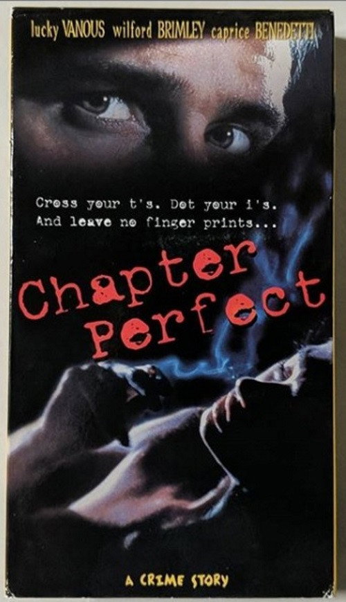 CHAPTER PERFECT poster