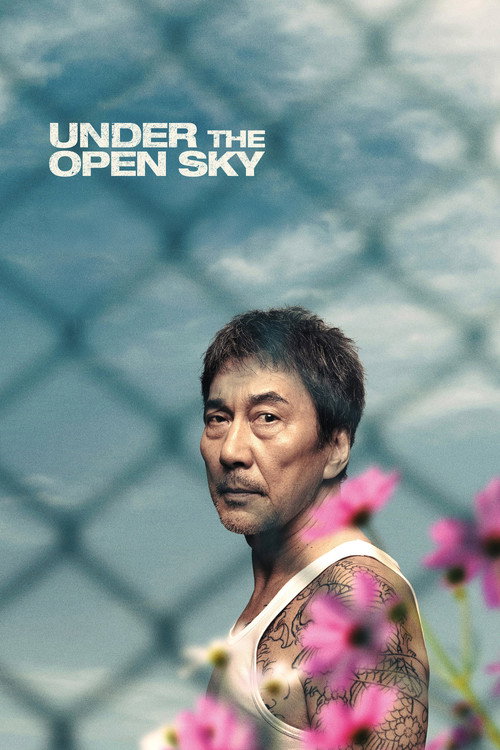 Under the Open Sky poster