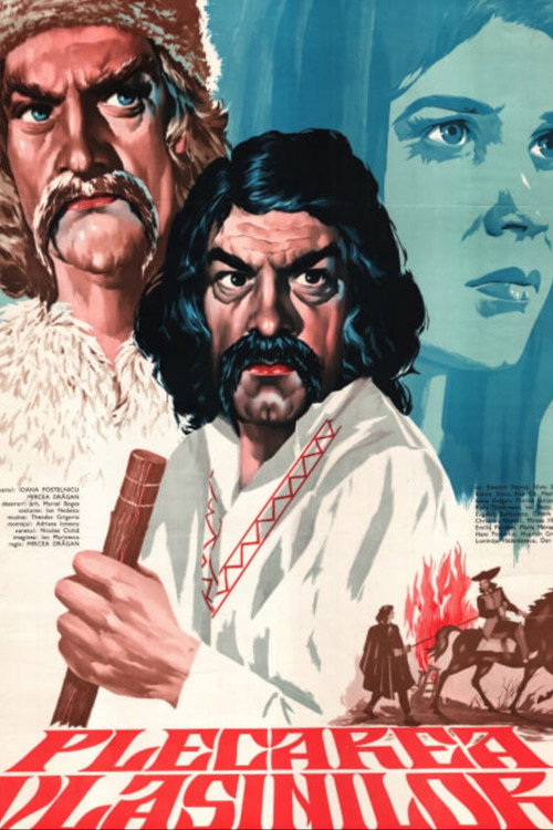 Vlashins' Leaving poster
