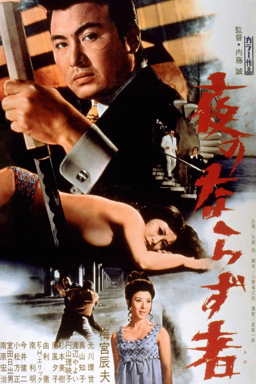 Rogue of the Night poster