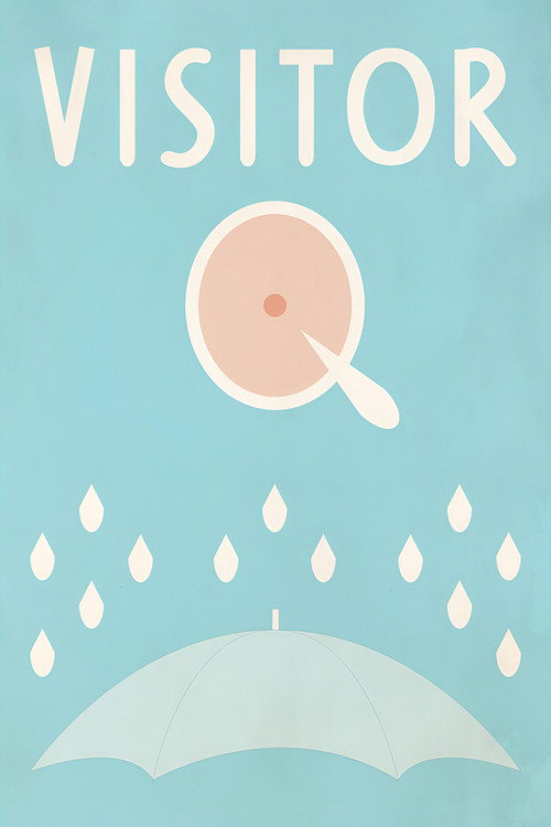Visitor Q poster