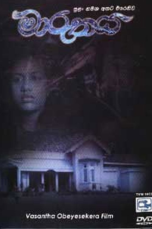 The Storm poster